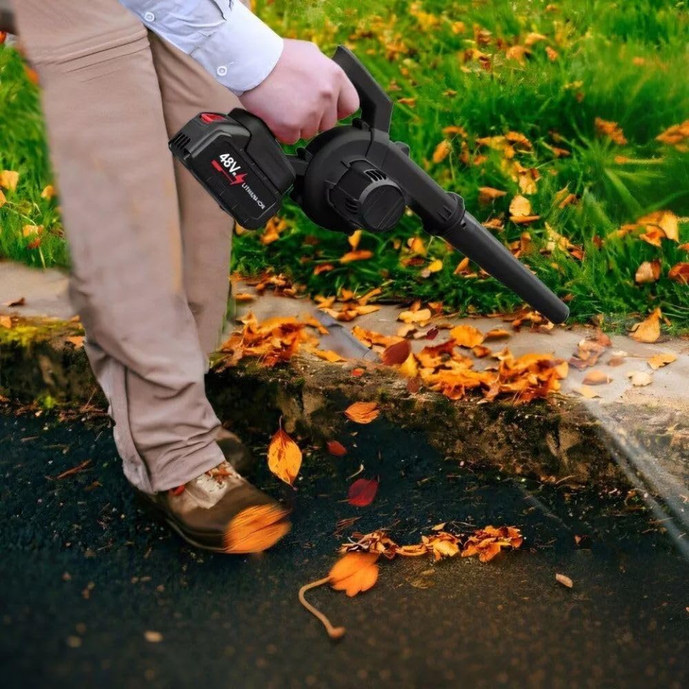 Cecaro Group Soffiatore Giardino Doppia Batteria 48V