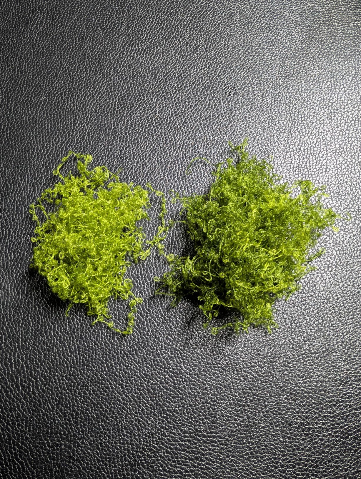 Quelcc Muschio Finto Stabilizzato 100g Verde Chiaro Scuro
