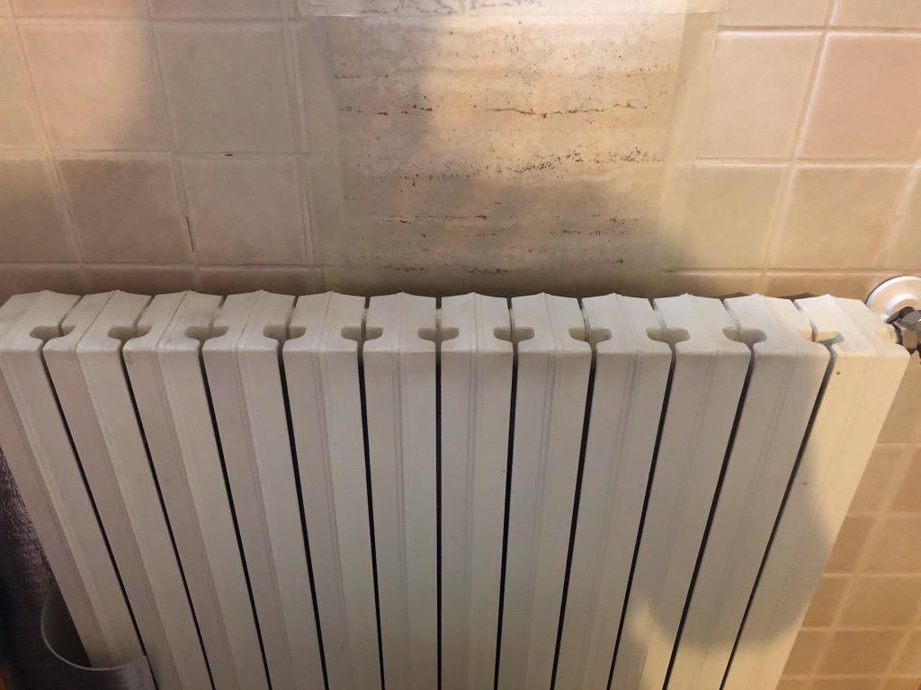 Wenko Twin 3703100 stendibiancheria da radiatore 57 cm alluminio
