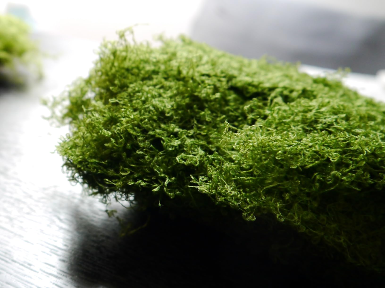 Quelcc Muschio Finto Stabilizzato 100g Verde Chiaro Scuro