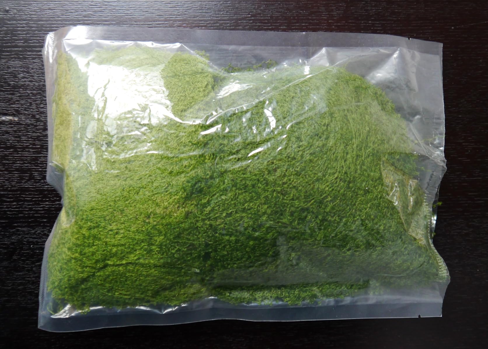 Quelcc Muschio Finto Stabilizzato 100g Verde Chiaro Scuro
