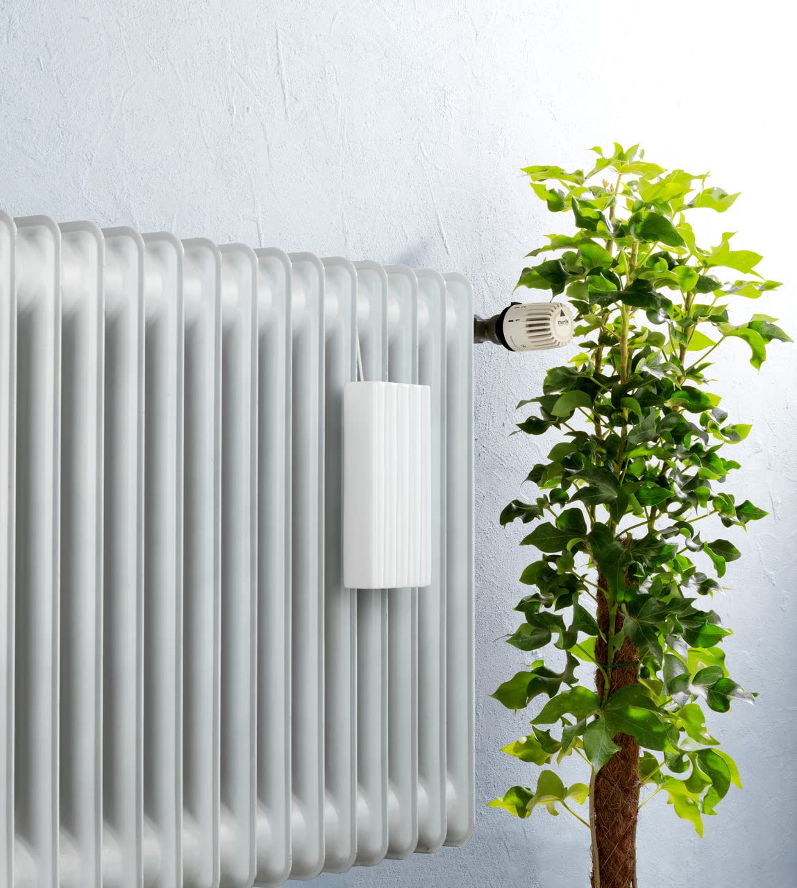 Wenko Linee umidificatore termosifone ceramica bianco 19 cm