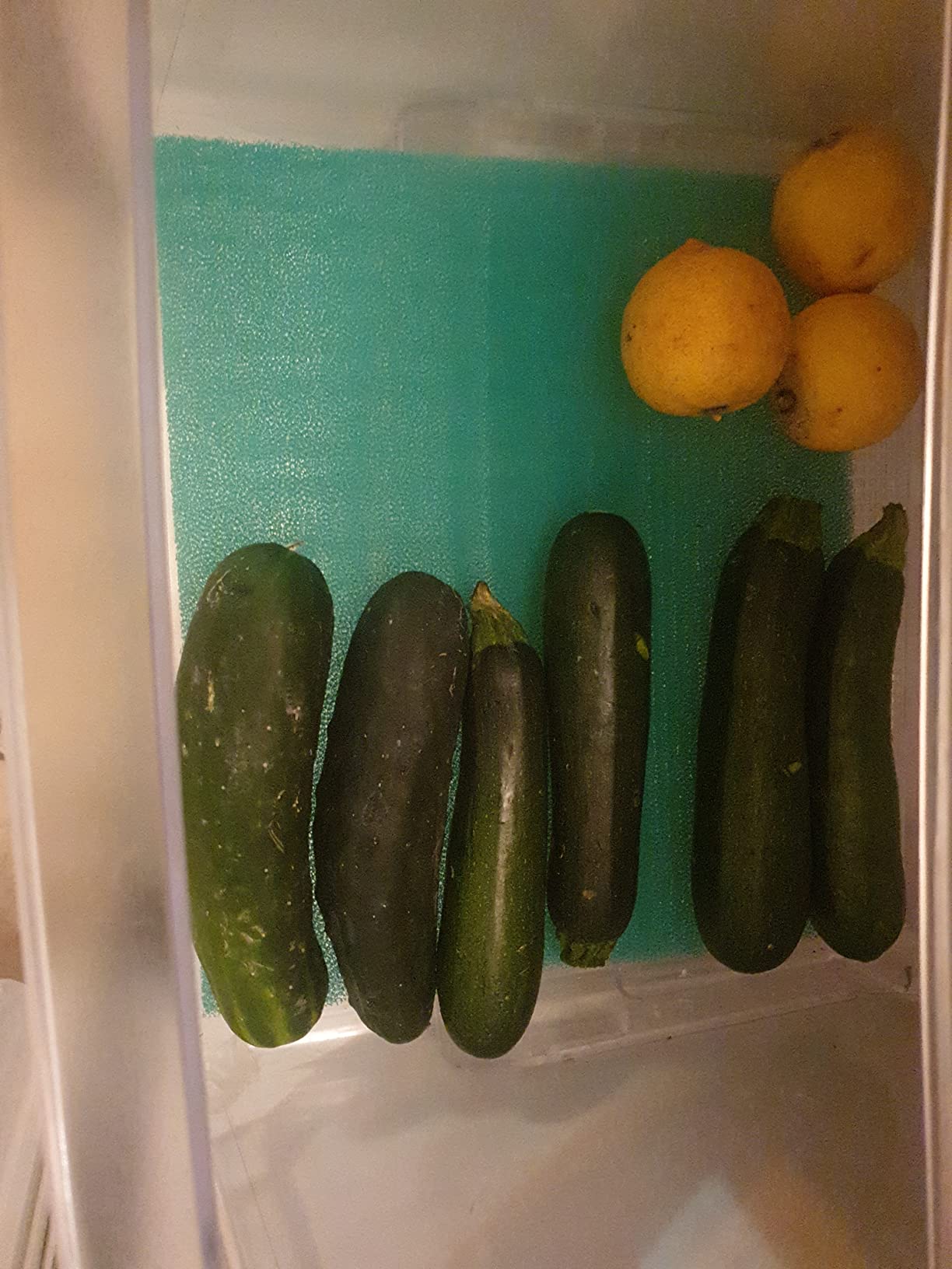 Wenko tappetino frigo antimuffa verde 30x47 cm