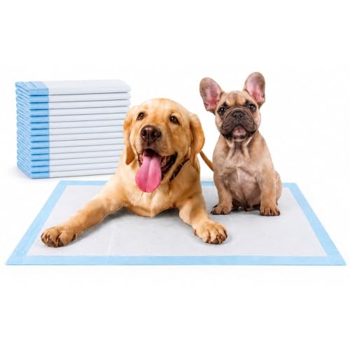 Cecaro Group Traversine Cani 60x90 cm 10 pz assorbenti