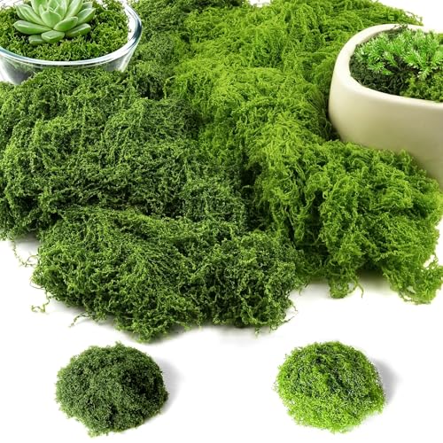 Quelcc Muschio Finto Stabilizzato 100g Verde Chiaro Scuro