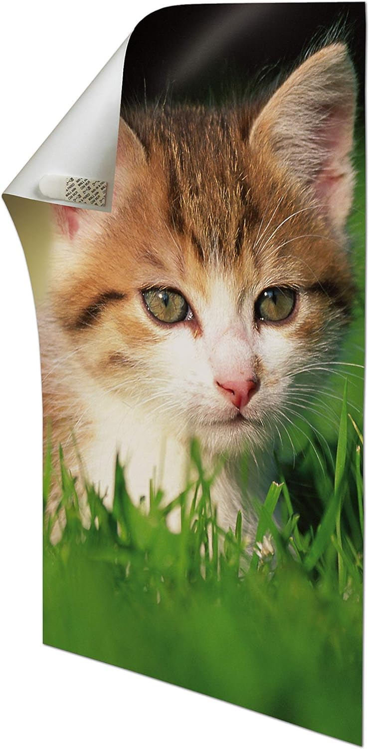 Command Strisce Poster Bianche 60 Pezzi senza forare