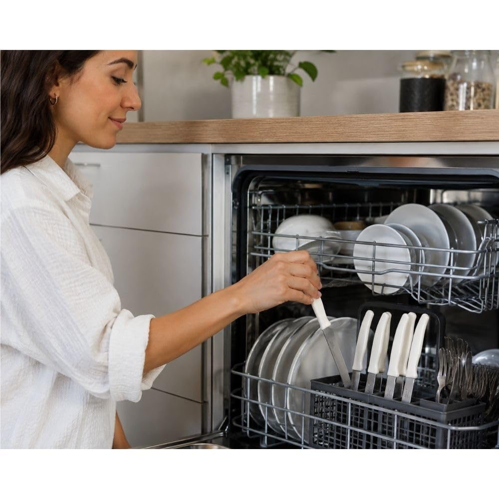 Cecaro Group Set 6 Coltelli Tavola Seghettati Inox