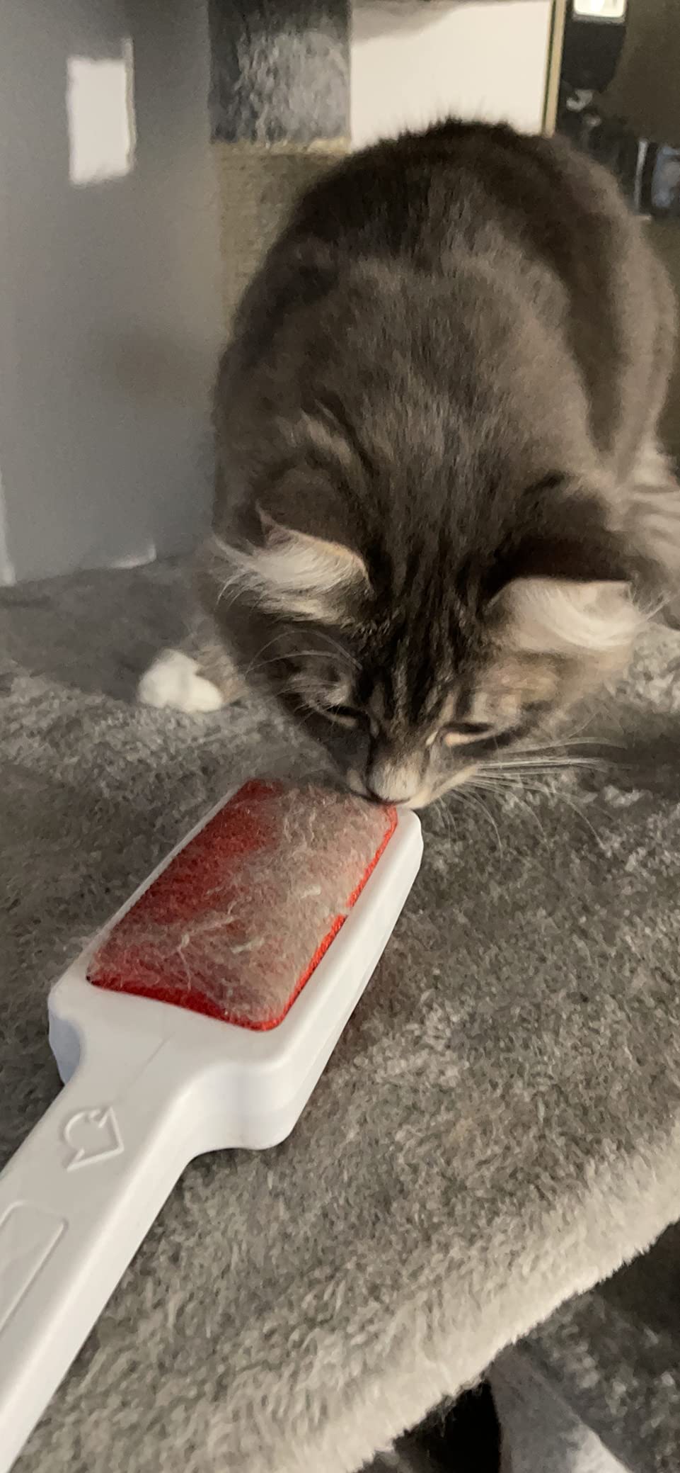 Wenko Junior spazzola tessuti doppia bianco rosso