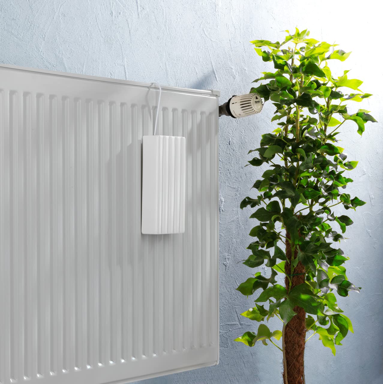 Wenko Linee umidificatore termosifone ceramica bianco 19 cm