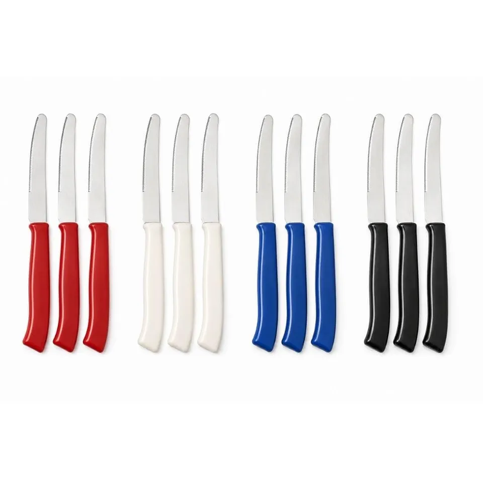 Cecaro Group Set 6 Coltelli Tavola Seghettati Inox