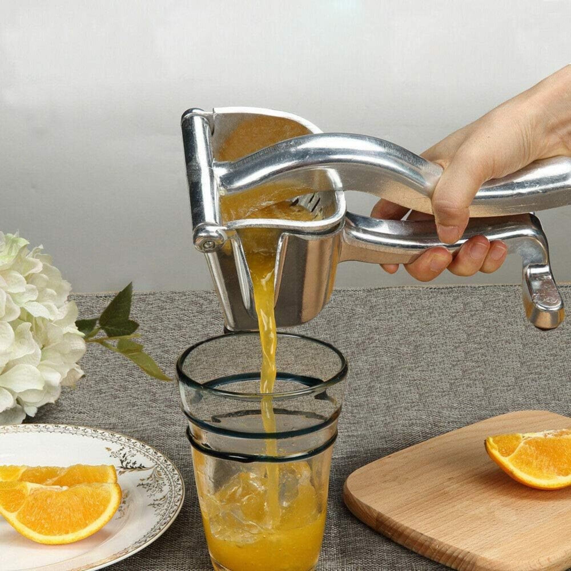 Cecaro Group Spremiagrumi Manuale Acciaio Inox Compatto