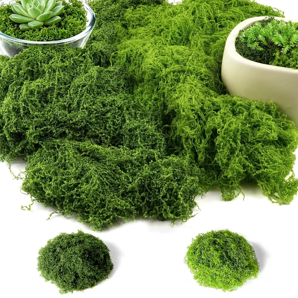 Quelcc Muschio Finto Stabilizzato 100g Verde Chiaro Scuro