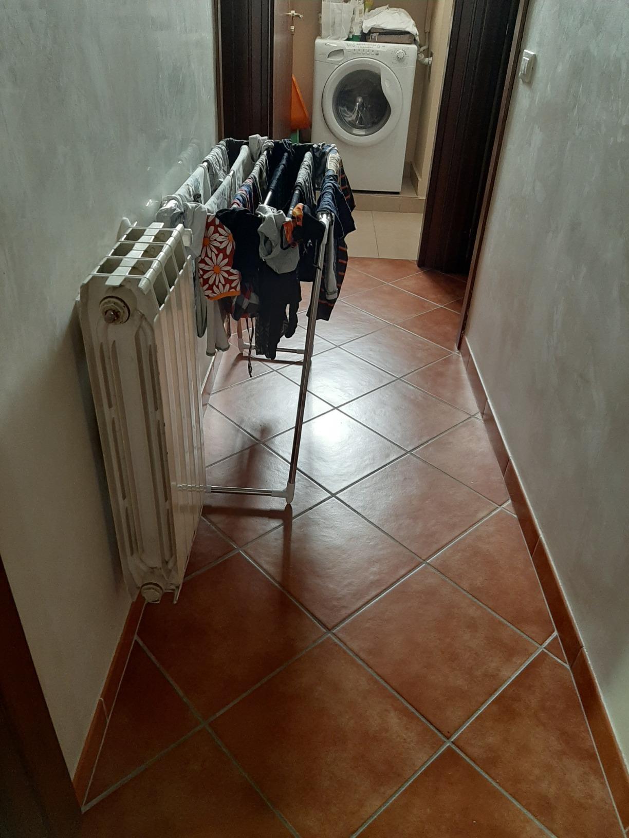 Wenko Profi Single stendibiancheria 5,5 m acciaio