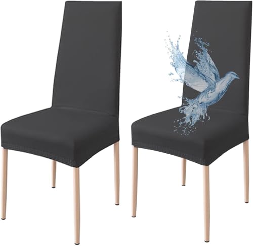 Cecaro Group coprisedie impermeabili neri 6 pezzi lavabili