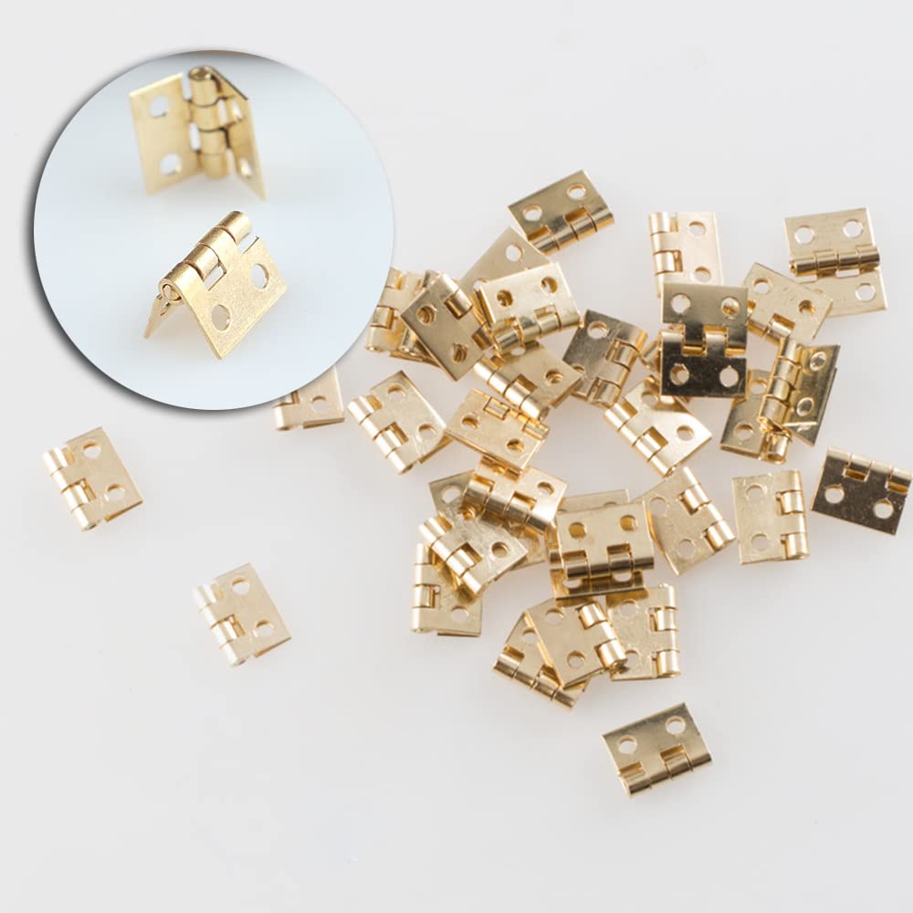 Lxoraziy Mini Cerniere Metallo 100 Pezzi 10x8 mm