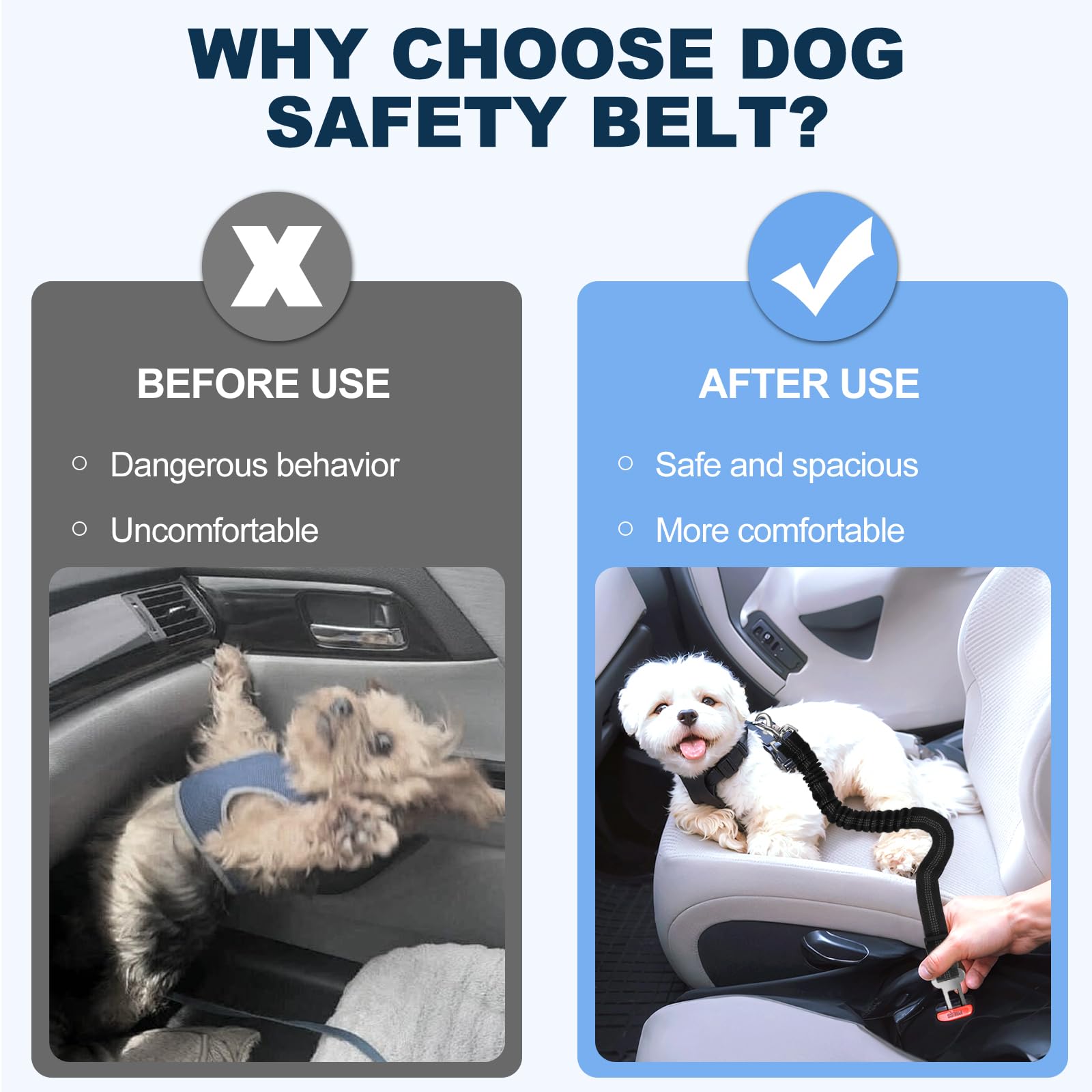Quelcc cintura auto cani nera regolabile 1 pezzo